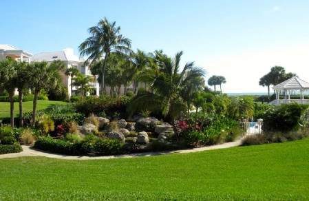 View of the landscape with palm trees and green grass